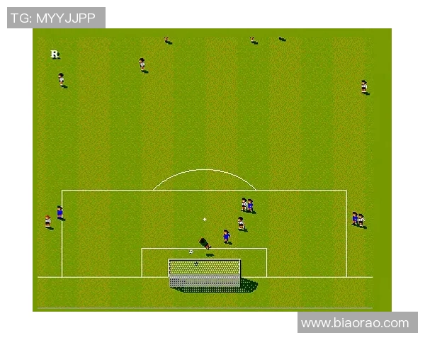 足球巨星风云录纵横绿茵场辉煌与荣誉的史记长卷
